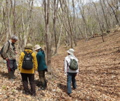 �����񍐎ʐ^