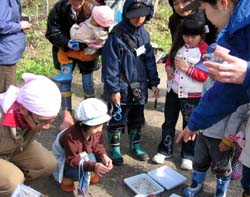 �����񍐎ʐ^