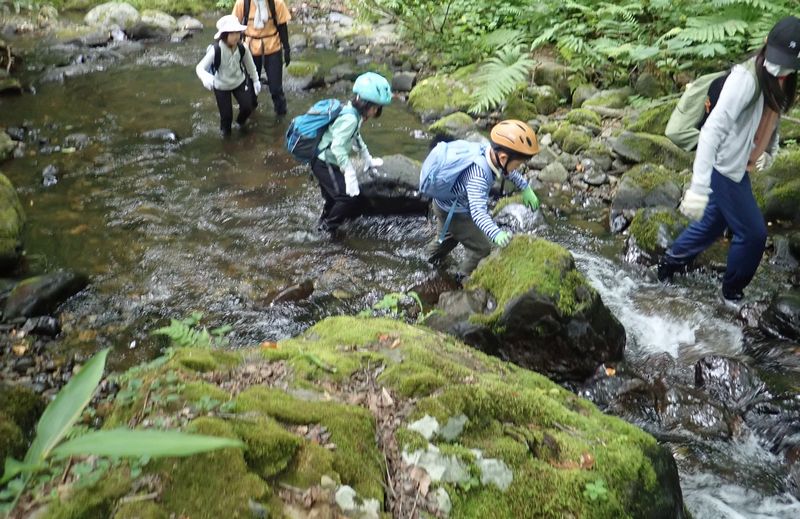 �����񍐎ʐ^